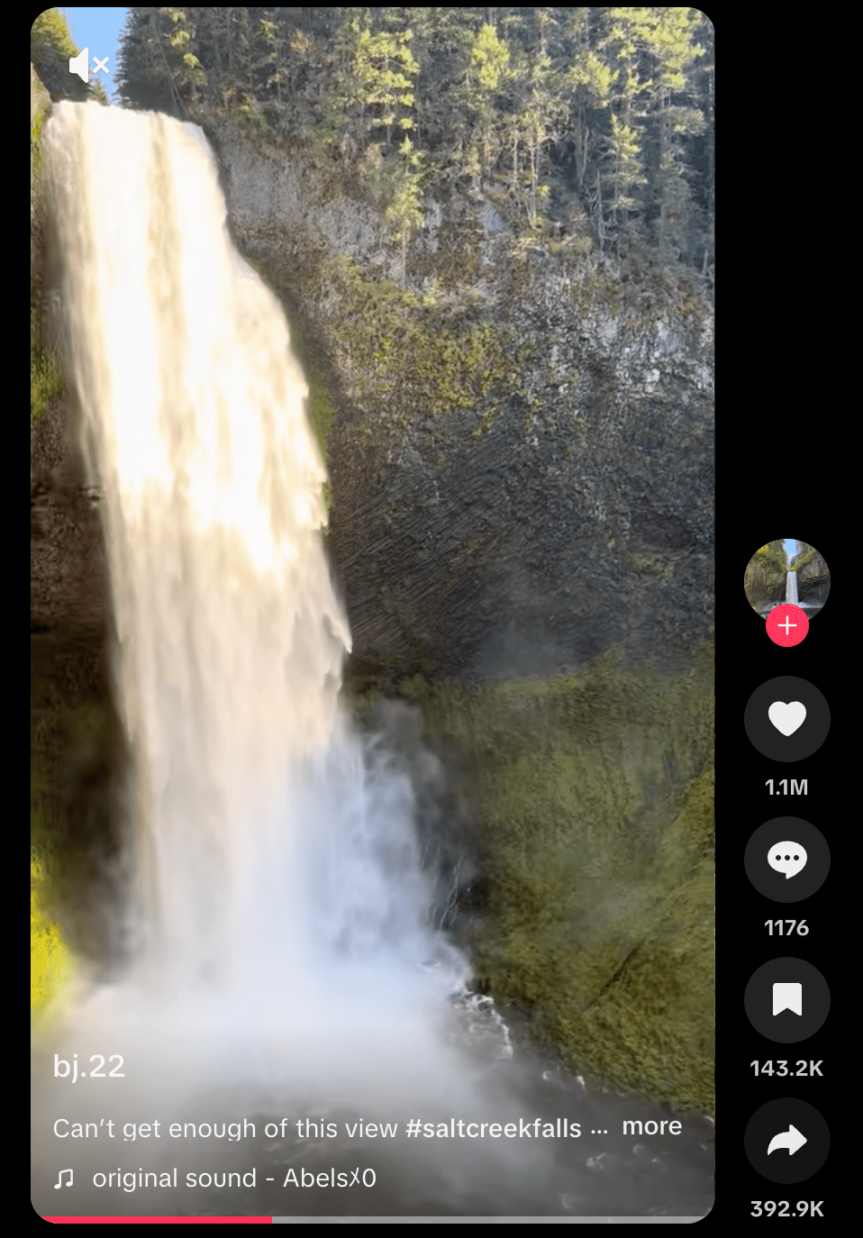 Salin Tautan TikTok